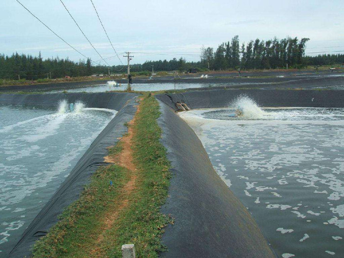 1547081490237319.jpg 水產養殖防滲膜.jpg